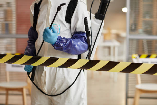 Professional Hoarding Cleanup technician working in Weyauwega, WI